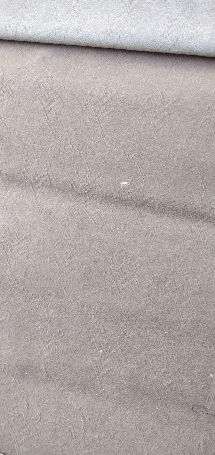 موکت قهوه ای|موکت|دامغان, |دیوار