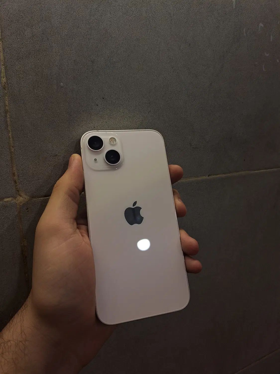 iPhone 13 Normal|موبایل|مشهد, هنرستان|دیوار