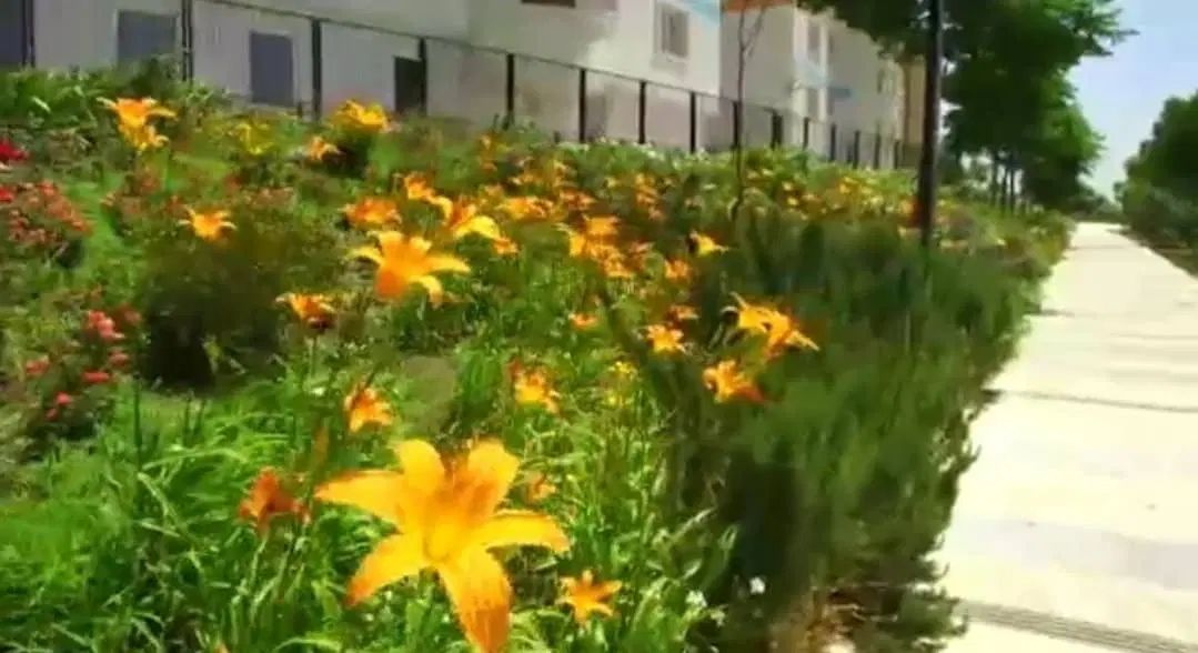 ۸۰متر ،  ۱خواب ،  همراهشهر|اجارهٔ آپارتمان|تهران, شهرک آتی شهر|دیوار