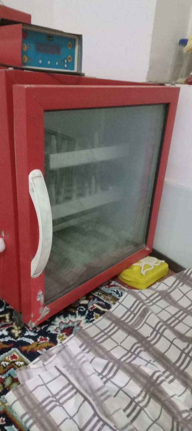 دستگاه جوجه کشی ۸۴تایی|لوازم جانبی حیوانات|نیشابور, شهرک فیروزه|دیوار