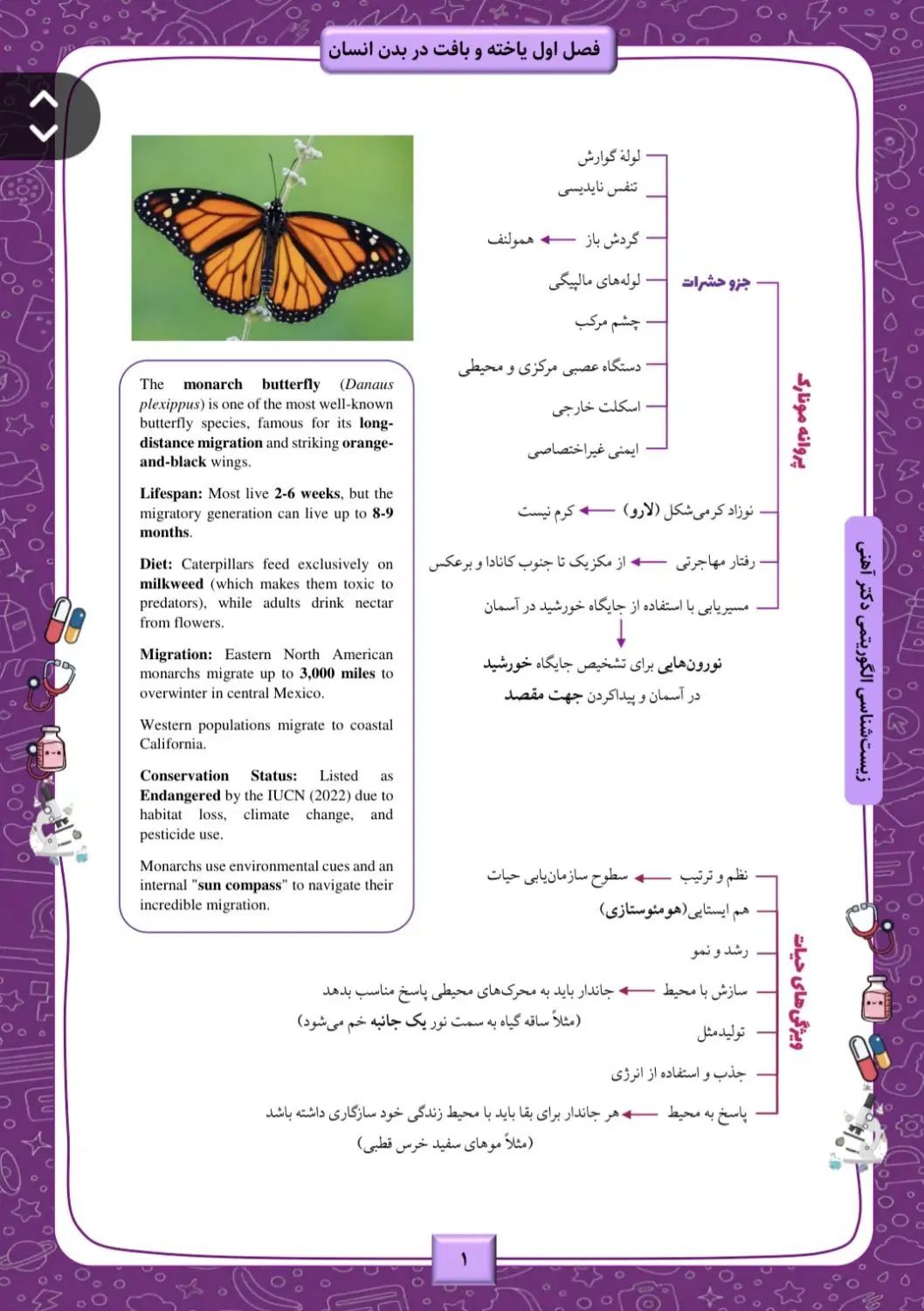 انجام خدمات تایپ، صفحه‌آرایی، طراحی گرافیکی|خدمات رایانه‌ای و موبایل|تهران, بهار|دیوار