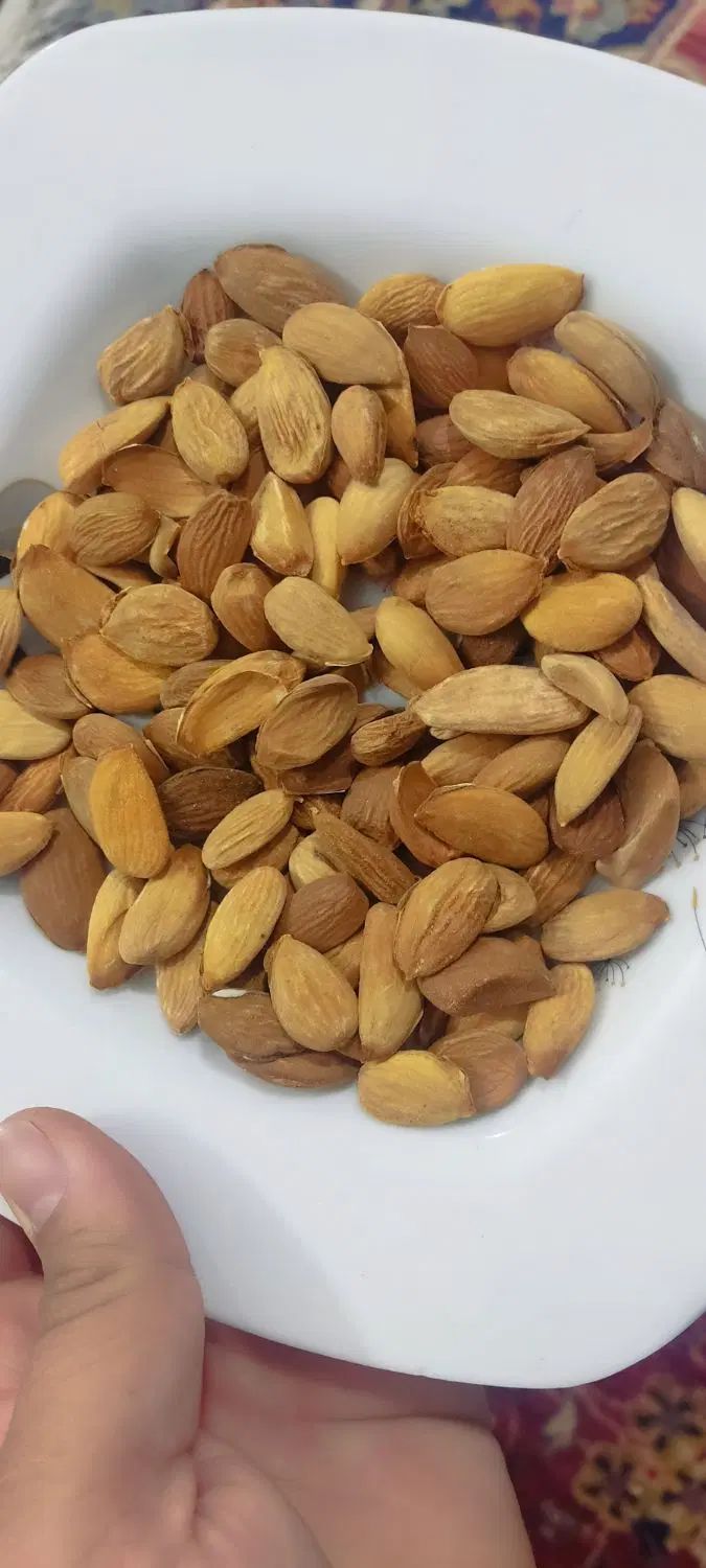 مغزبادام درختی|خوردنی و آشامیدنی|مشهد, طرق|دیوار