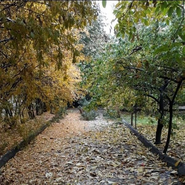 512متر ویلایی با عرض پانزده حاشیه کلانتری|فروش زمین و ملک کلنگی|مشهد, رضاشهر|دیوار
