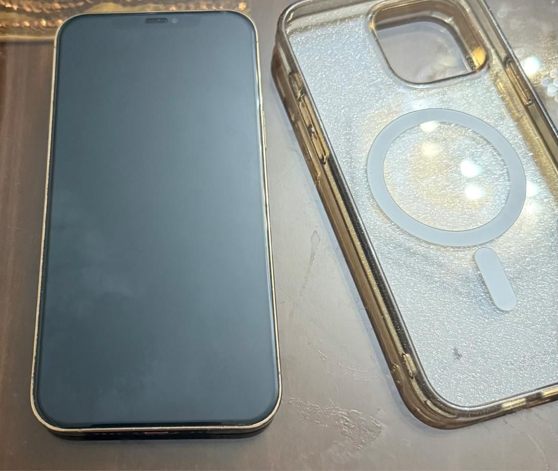 اپل iPhone 12 Pro Max با حافظهٔ ۲۵۶ گیگابایت|موبایل|تهران, دهکده المپیک|دیوار
