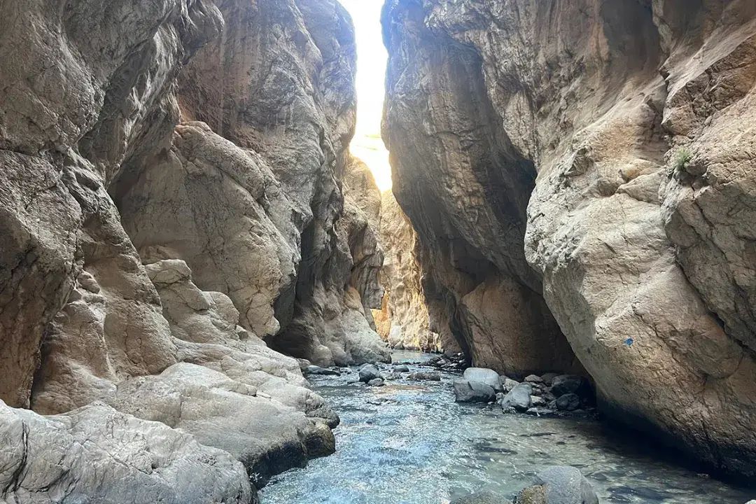 تور یک روزە دره زمان|تور و چارتر|تهران, تهرانسر مرکزی|دیوار