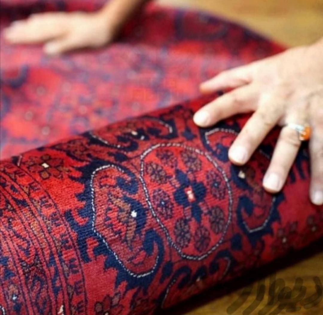 قالیشویی سهروردی عباس آباد اندیشه خرمشهر مطهری|خدمات نظافت|تهران, سهروردی|دیوار