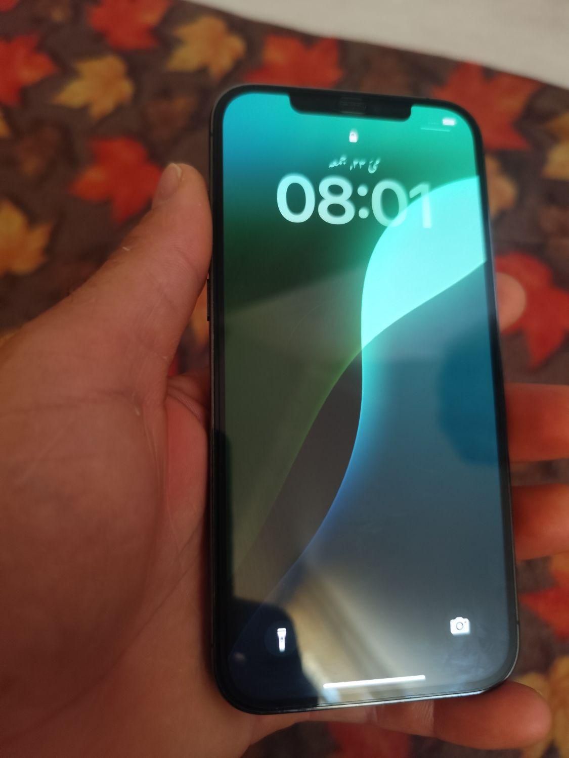 اپل iPhone 12 Pro Max با حافظهٔ ۵۱۲ گیگابایت|موبایل|شیراز, شهرک ولیعصر|دیوار