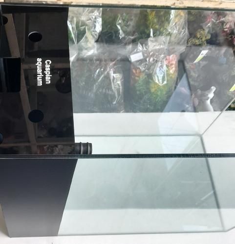 کارگاه تولیدی آکواریوم ریملس|ماهی|اردبیل, |دیوار