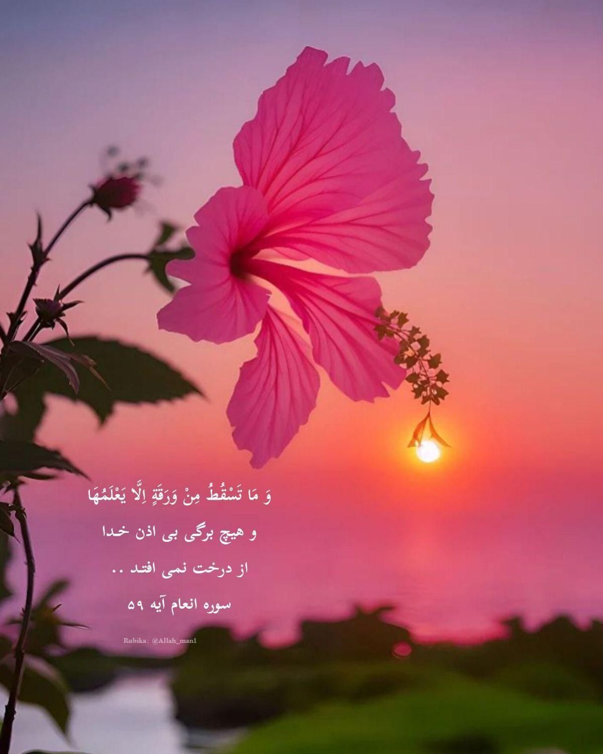 نگهبان یا سرایدار میشم|اسکان اضطراری|زاهدان, |دیوار