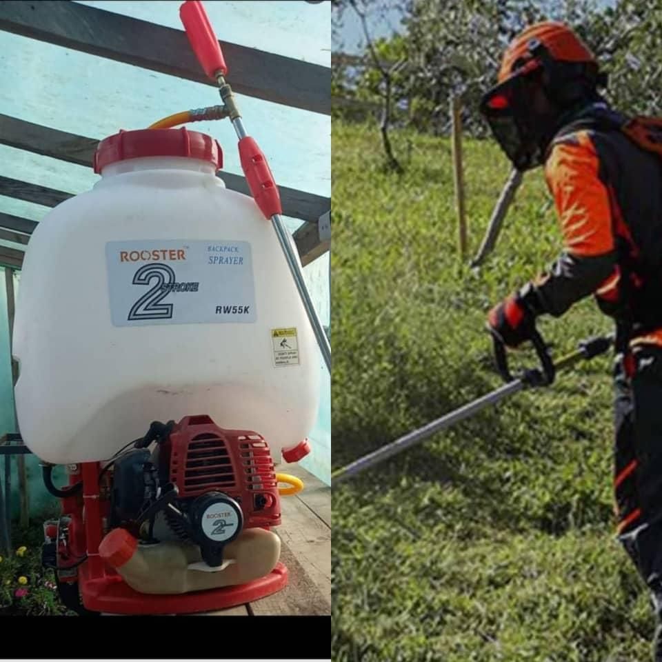 علف زنی ،سهم پاشی، تزئین باغچه ،هرس درختان|خدمات باغبانی و درختکاری|رضوانشهر, |دیوار