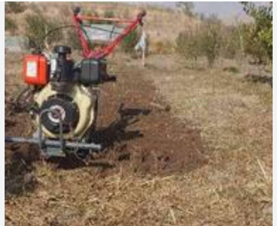 علف زنی وپاکنی باغهاوباغچها وگلخانها|خدمات باغبانی و درختکاری|صدرا-فارس, |دیوار