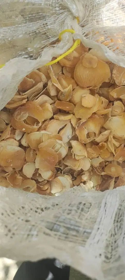 موسیر|خوردنی و آشامیدنی|اصفهان, جلفا|دیوار