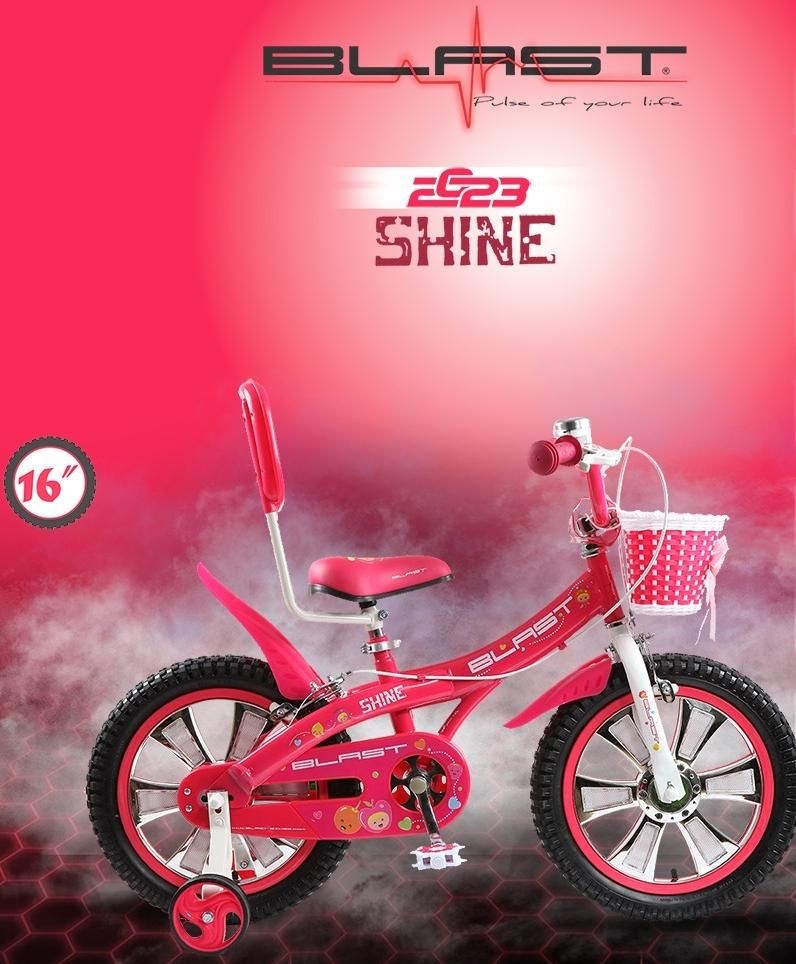دوچرخه دخترانه صورتی مدلSHINE(دوچرخه مکین رفسنجان)|دوچرخه، اسکیت، اسکوتر|رفسنجان, |دیوار