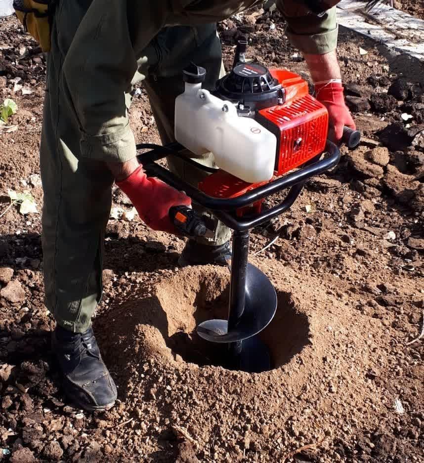 باغبانی و فضای سبز بومهن رودهن پردیس|خدمات باغبانی و درختکاری|رودهن, |دیوار