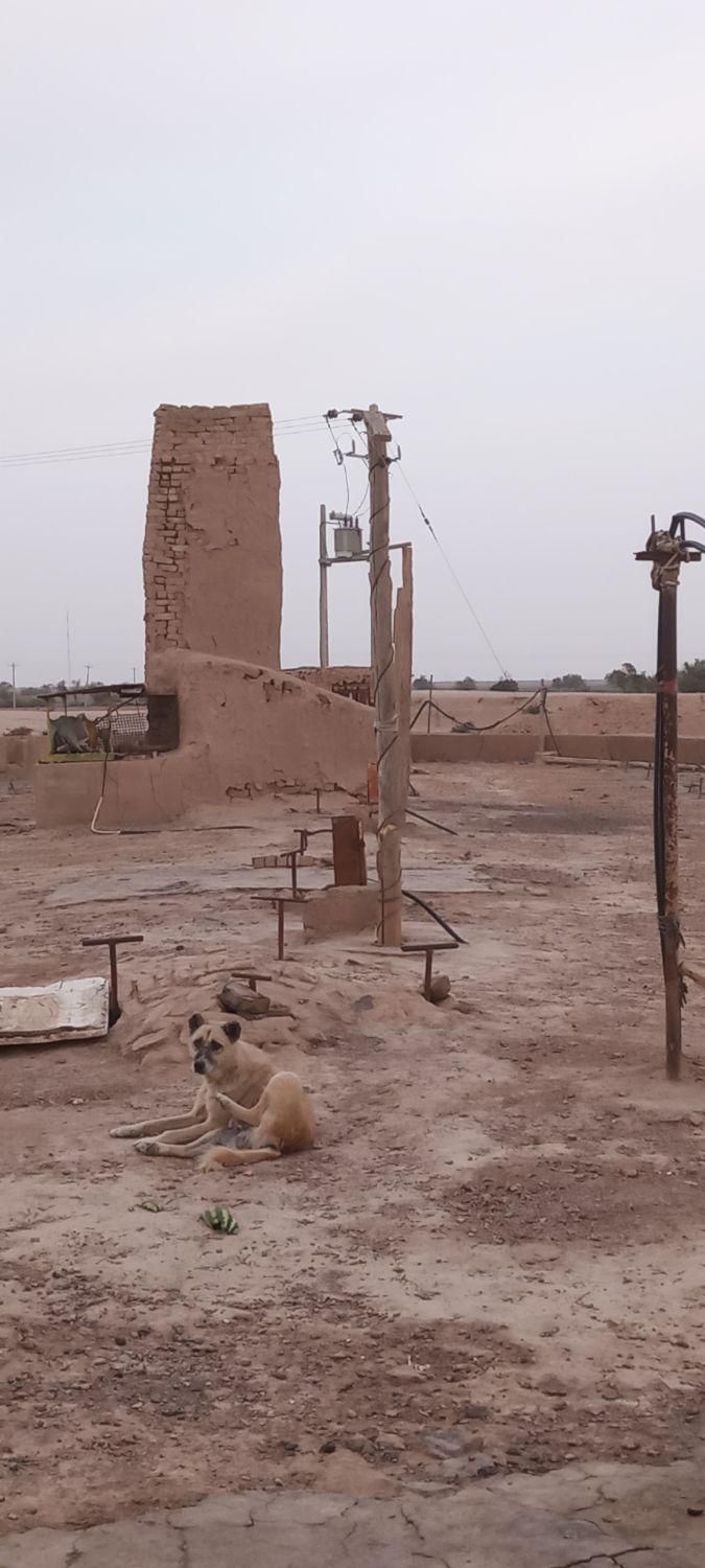 کوره آجر فشاری|فروش دفتر صنعتی، کشاورزی، تجاری|تربت جام, شهرک آزادگان|دیوار