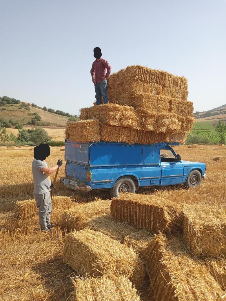 حمل بار با نیسان وانت|خدمات حمل و نقل|گنبد کاووس, |دیوار
