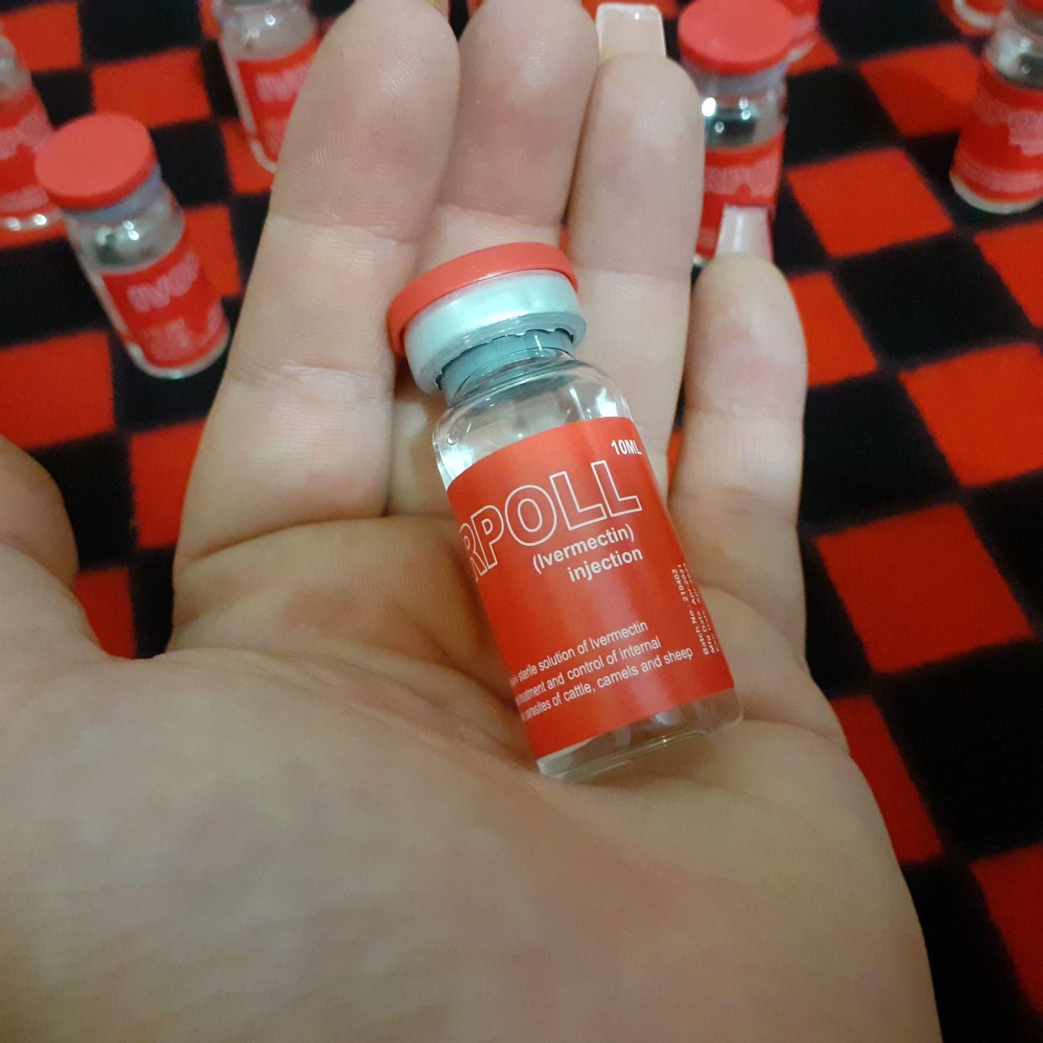 رفع شپش سر|آرایشی، بهداشتی، درمانی|یاسوج, |دیوار