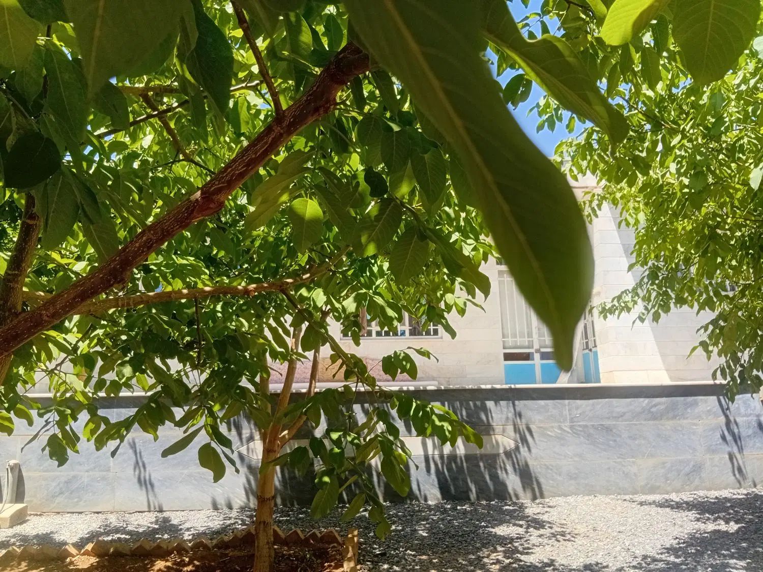 فروش منزل مسکونی ویلایی روستای گردشگری دره بید|فروش خانه و ویلا|داران, |دیوار