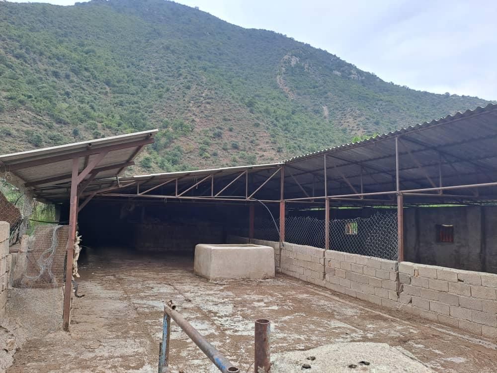 زمین باغی و دامداری مجوز دار|فروش دفتر صنعتی، کشاورزی، تجاری|گرگان, |دیوار