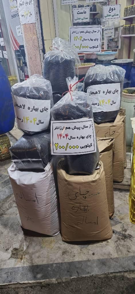 چایی بهاره لاهیجان سال۱۴۰۴ (امساله)|عمده‌فروشی|رشت, جهاد|دیوار