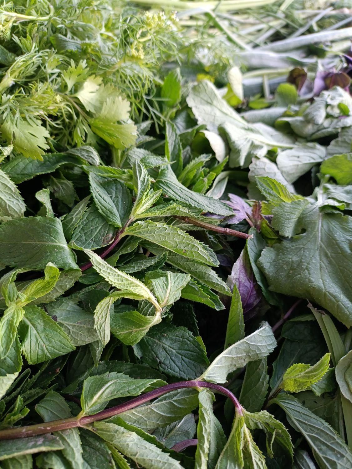 سفارش انواع سبزی آماده|خوردنی و آشامیدنی|بروجرد, |دیوار