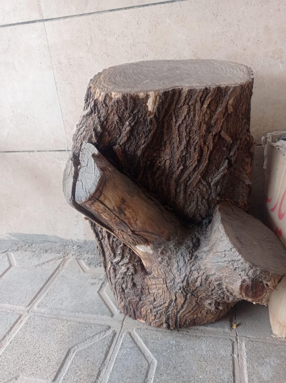 چوب طبیعی صندلی واسه دکور|صنایع دستی و سایر لوازم تزئینی|تربت جام, فاز ۳ فرهنگیان|دیوار