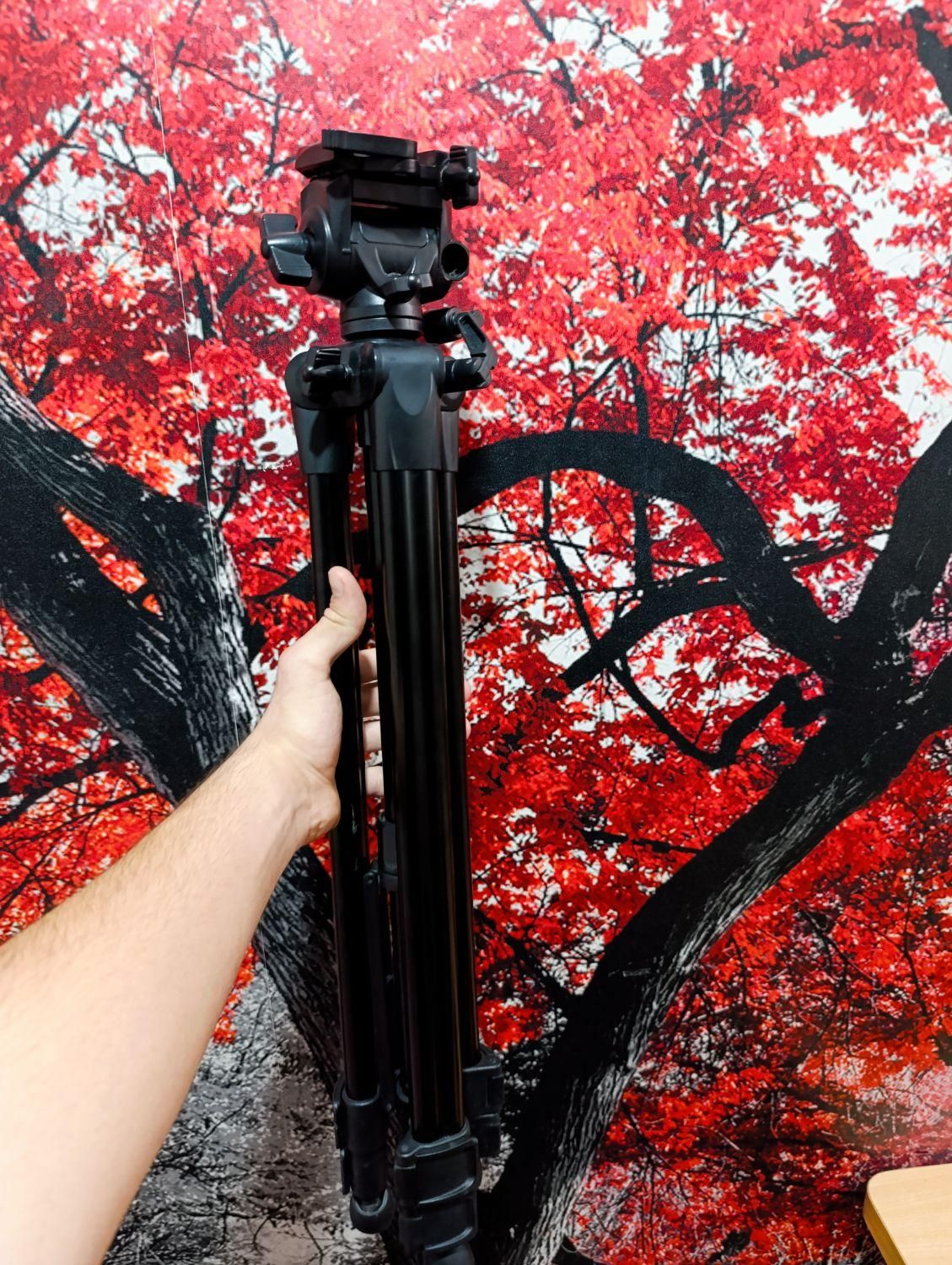 دوربین dslr نیکون D5300 جم|دوربین عکاسی و فیلم‌برداری|جم, |دیوار