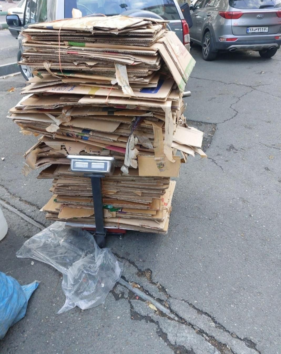 کارتون ضایعات قیمت بالا|عمدهفروشی|سنندج, |دیوار