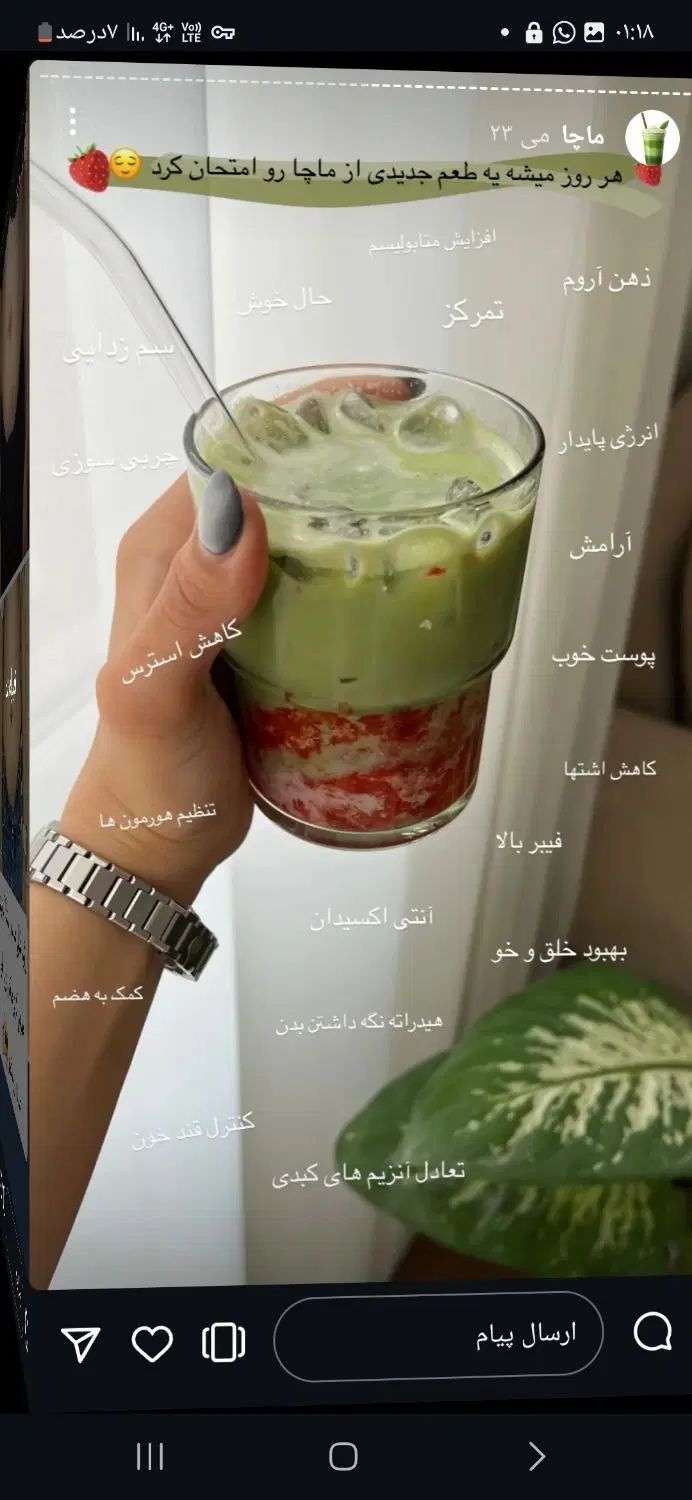 چای ماچا|خوردنی و آشامیدنی|کرج, باغستان|دیوار