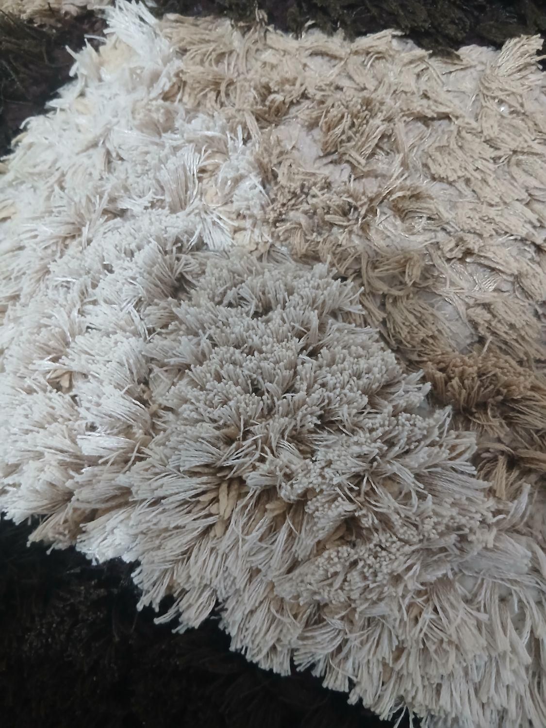 گلیم|گلیم، جاجیم، گبه|بروجرد, |دیوار