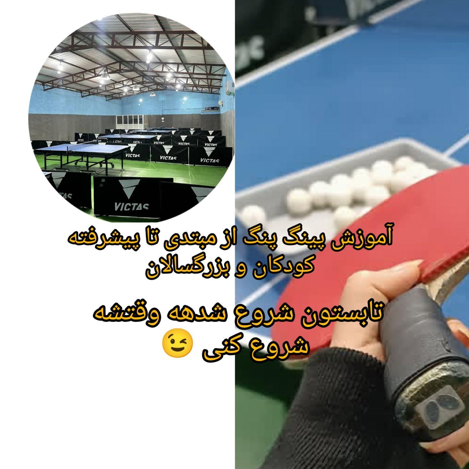 آموزش تنیس روی میز (پینگ پنگ)|خدمات آموزشی|ساری, |دیوار