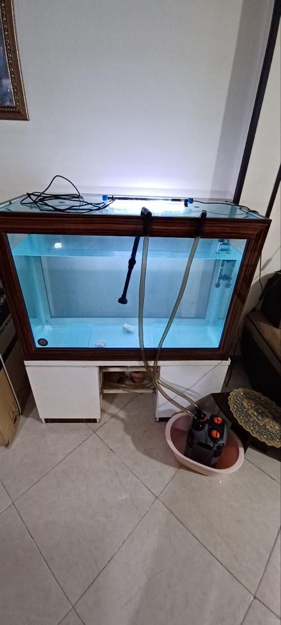 آکواریوم با تمام لوازم|ماهی|قدس, شهرقدس|دیوار
