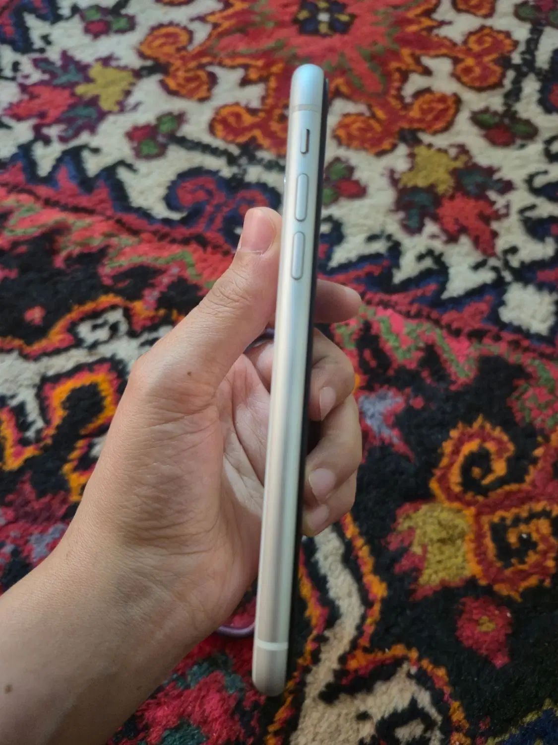iPhone 11|موبایل|تبریز, |دیوار