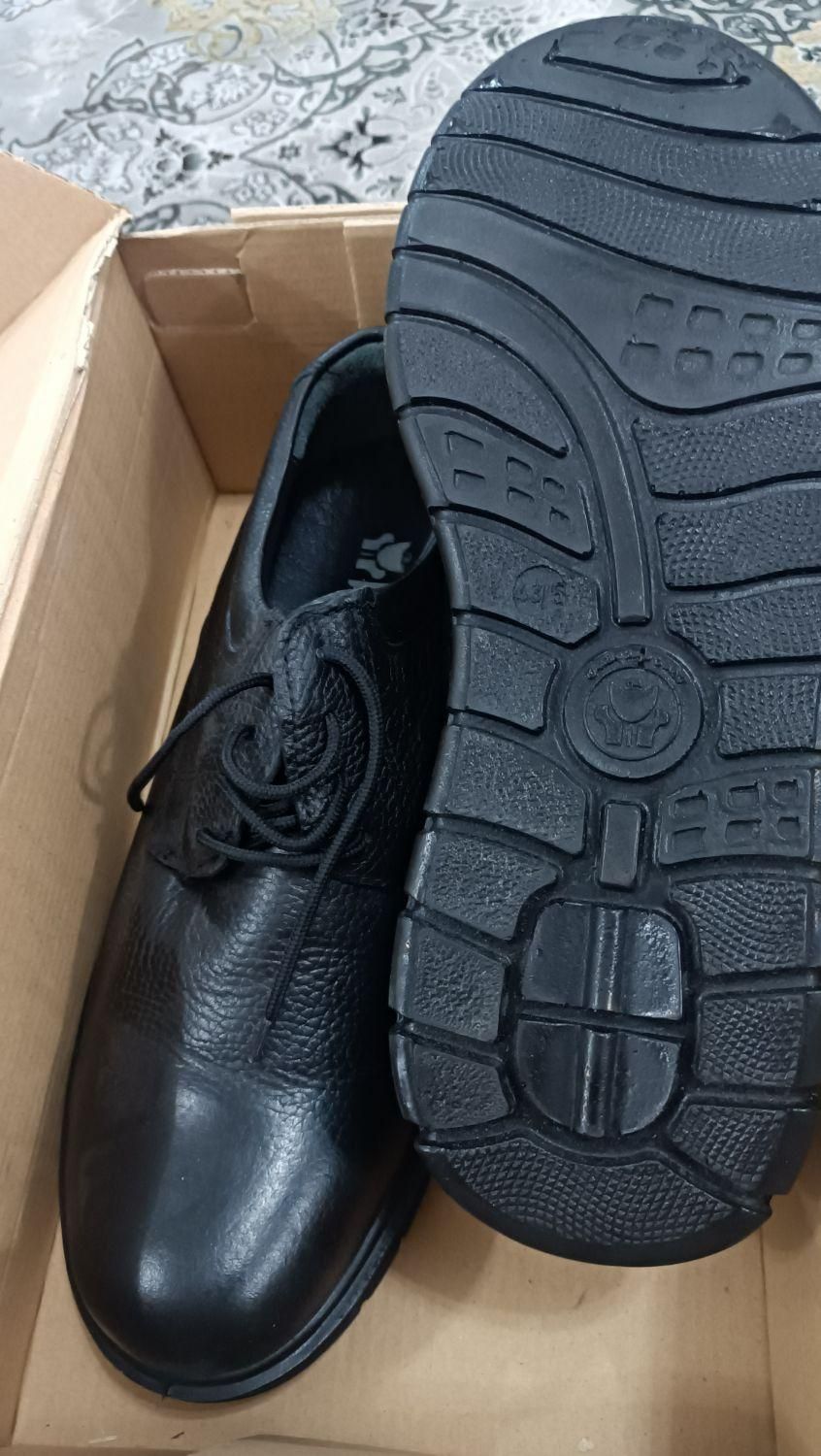 کفش چرم طبیعی|کیف، کفش، کمربند|اهواز, کوی باهنر|دیوار