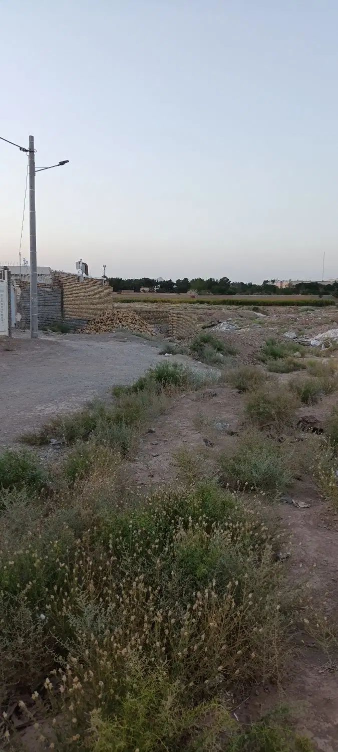 زمین متراج ۱۰۶ متر حاشیه کوچه به فروش می رسد|فروش زمین و ملک کلنگی|تربت‌حیدریه, سرمحله|دیوار