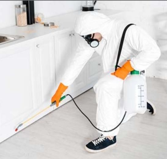 سمپاشی سوسک ساس سم پاشی تمامی حشرات تضمینی|خدمات نظافت|مشهد, خواجه ربیع|دیوار