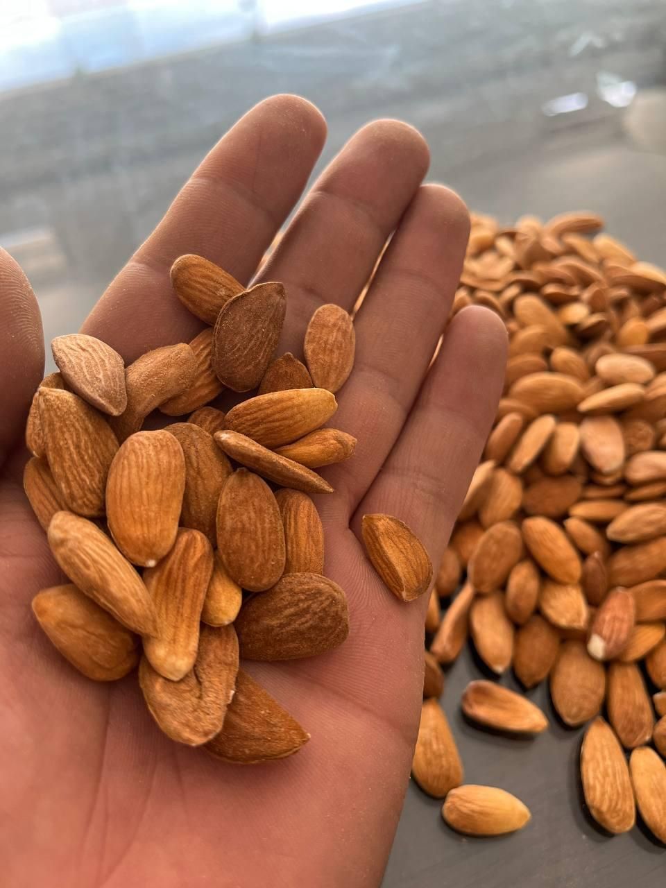 بادام شیرین|خوردنی و آشامیدنی|شیراز, گویم|دیوار
