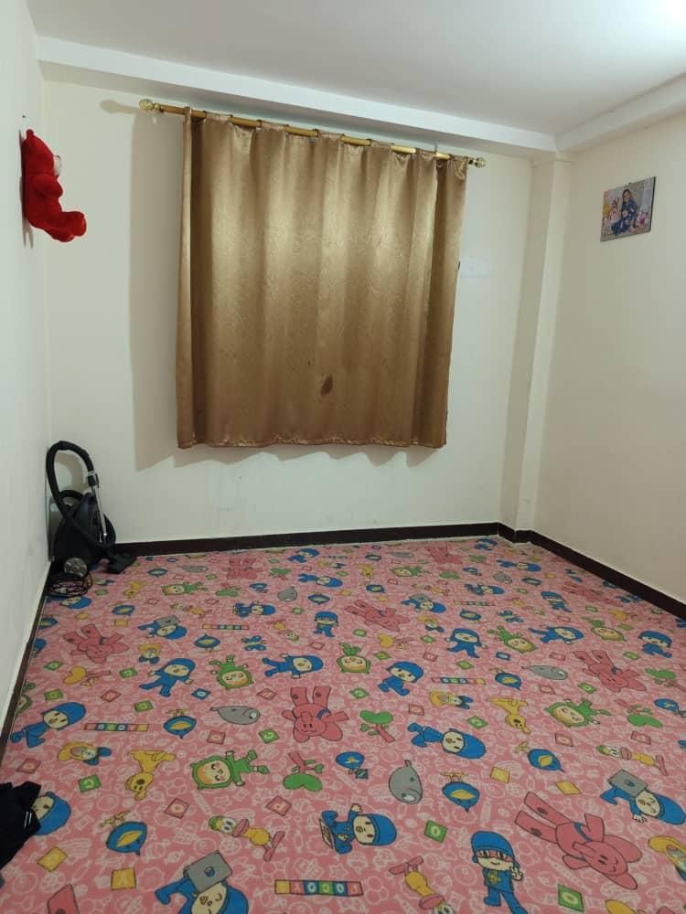 موکت عروسکی|موکت|پرند, |دیوار