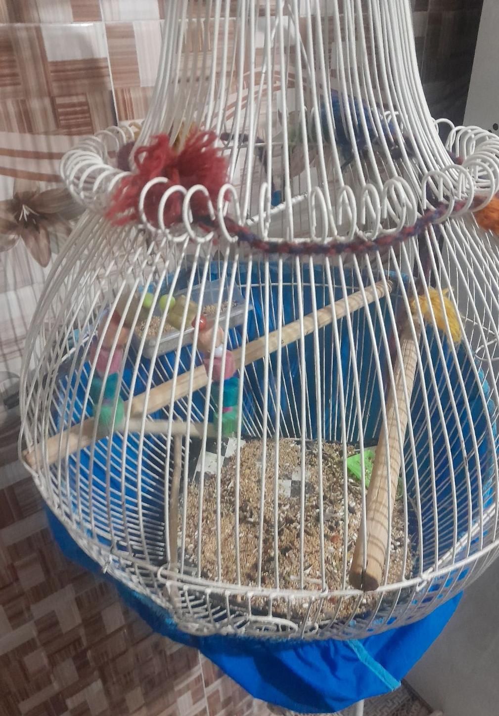 قفس پایه دار|لوازم جانبی حیوانات|رفسنجان, |دیوار