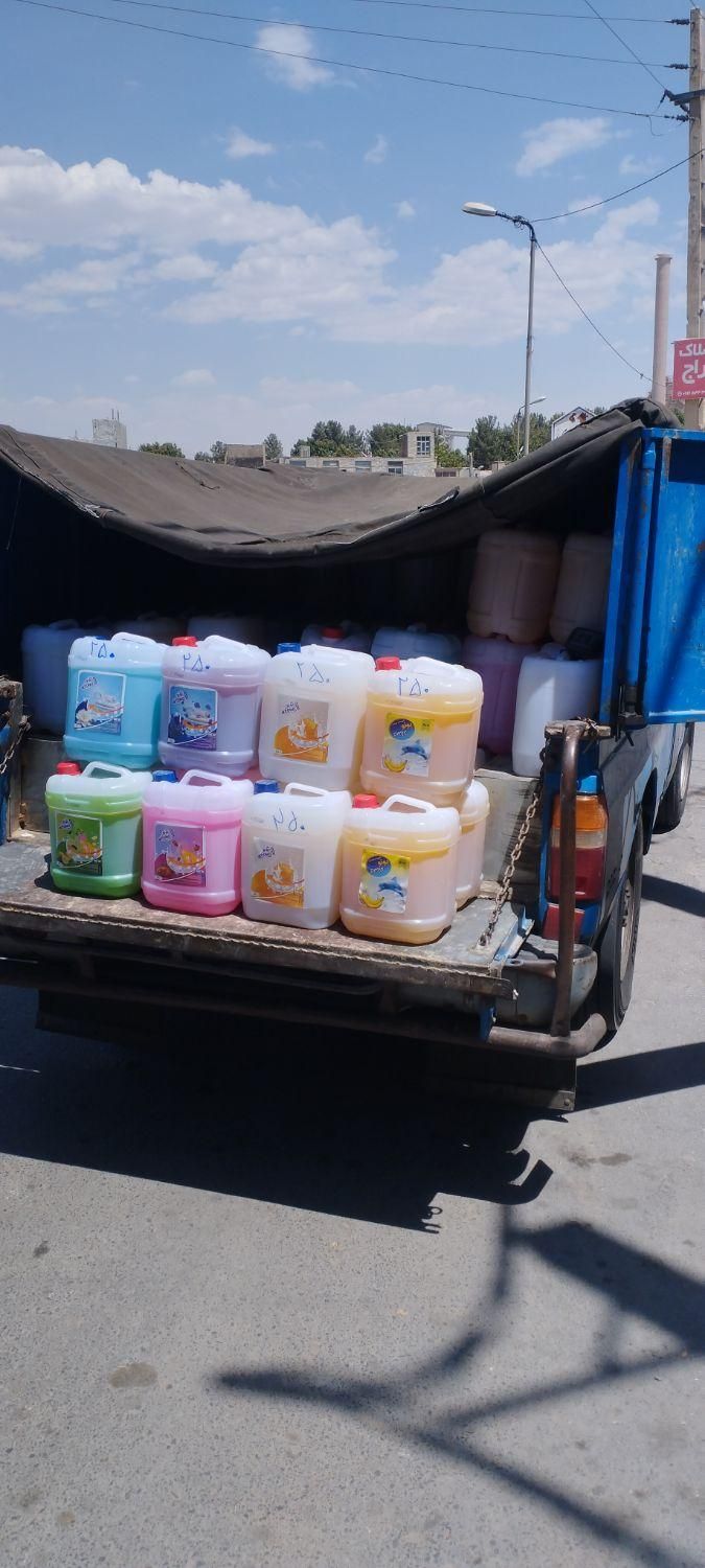 فروش وپخش مایع شوینده ،پونو|مواد شوینده و دستمال کاغذی|دورود, |دیوار