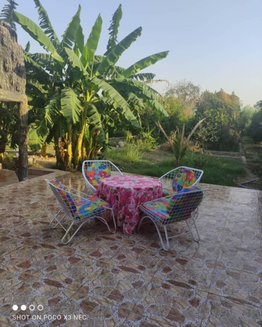 اجاره ویلا باغ|اجارهٔ کوتاهمدت ویلا و باغ|دزفول, |دیوار