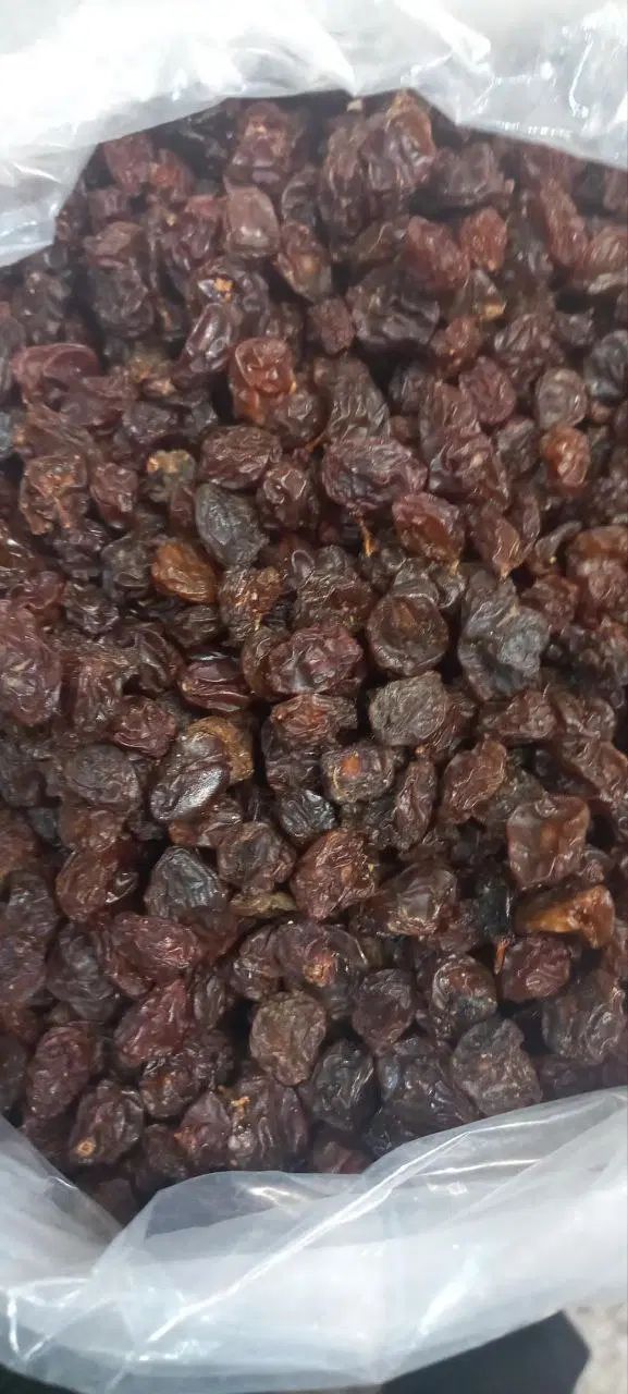 کشمش(درگز) و (کاشمر) مخصوص آبگیری|عمده‌فروشی|مشهد, تلگرد|دیوار