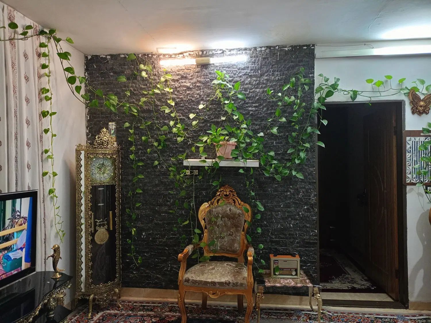گل پتوس رونده|گل و گیاه طبیعی|مشهد, میعاد (شهرک غرب)|دیوار