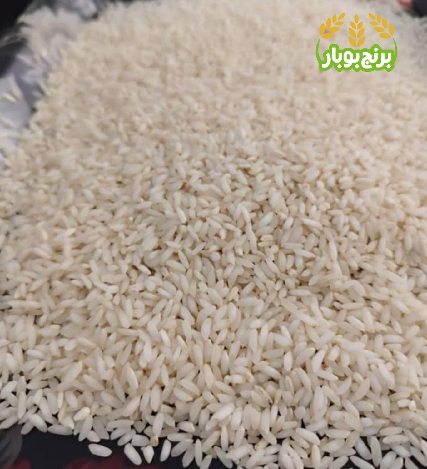 برنج عنبر بو ممتاز خوش عطر سورت شده، یکدست،شوشتر|خوردنی و آشامیدنی|اصفهان, پروین|دیوار