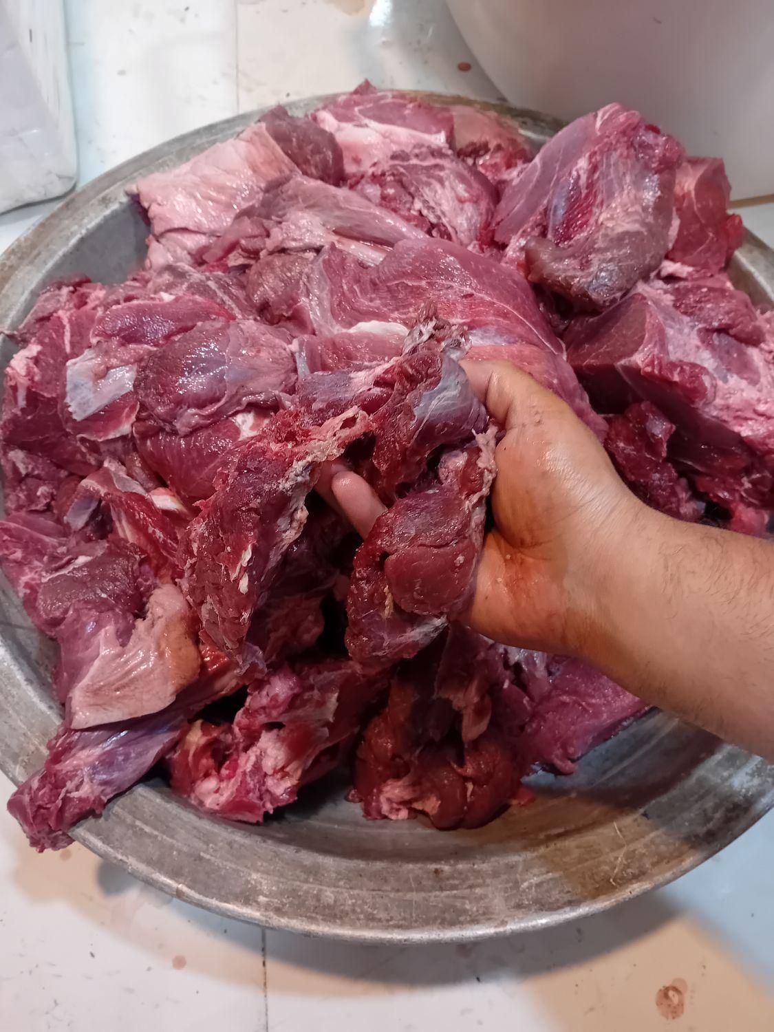 خرده گوشت تکه گوشت چرخکره گرم و تازه روز|خوردنی و آشامیدنی|تهران, بهمن یار|دیوار