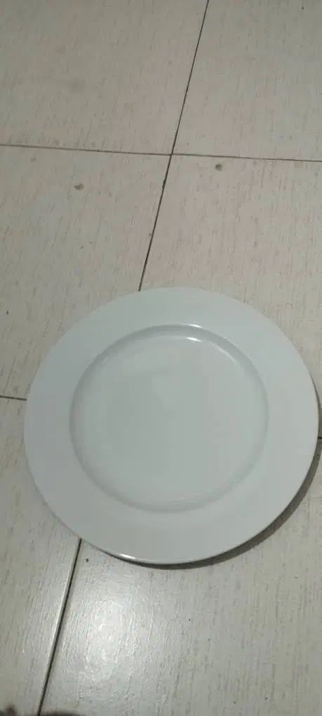 مرغ خوری و کاسه|حراج|کرج, احدآباد|دیوار