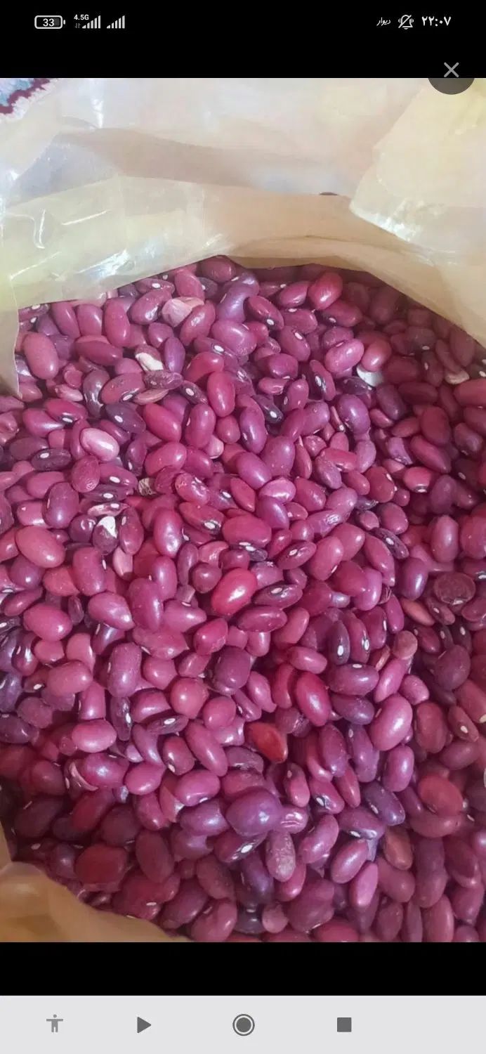 خرید و فروش حبوبات|خوردنی و آشامیدنی|تهران, حر|دیوار