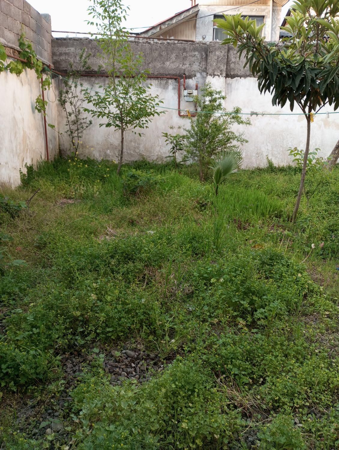 خانه ویلا قدیم ساخت با ۲۲۰ متر زمین در رشت|فروش خانه و ویلا|رشت, سلیمانداراب|دیوار