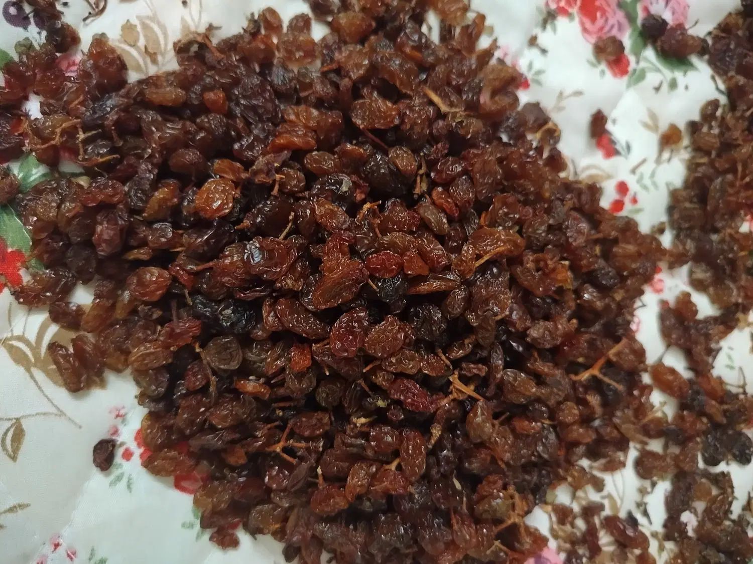 کشمش درگز|خوردنی و آشامیدنی|مشهد, شهرک امام هادی (شهرک غرب)|دیوار