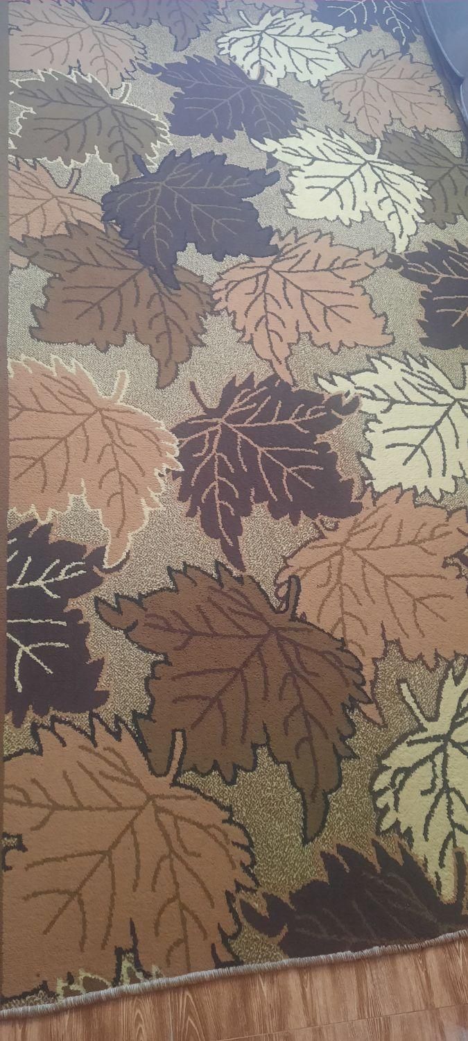 گلیم فرش|فرش|بندر انزلی, چهارفریضه|دیوار